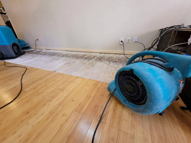 Reliable Basement Flood Cleanup contractor in Rutherford, NJ by Hirex Water Damage