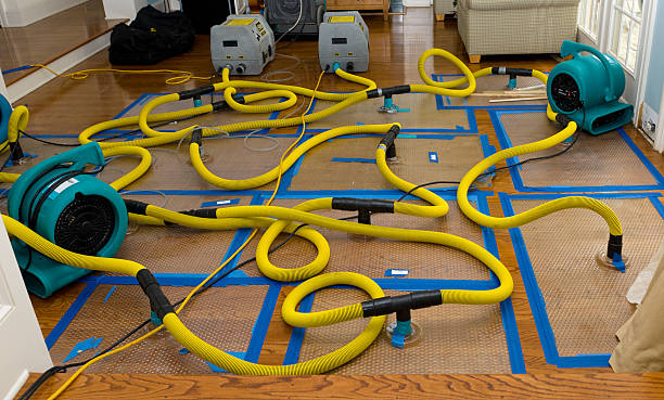 Professional Basement Flood Cleanup technician working in Rutherford, NJ